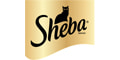 Sheba Gutscheincodes
